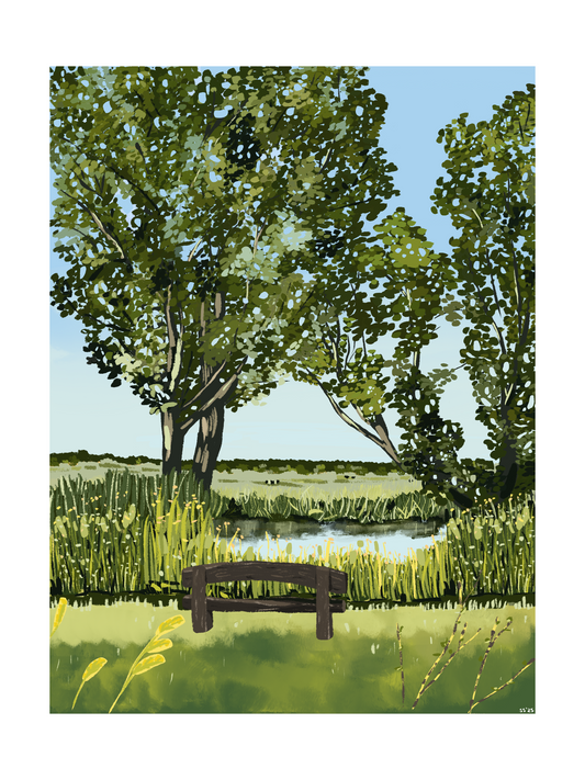 Pond & Pasture (6"x8" print)